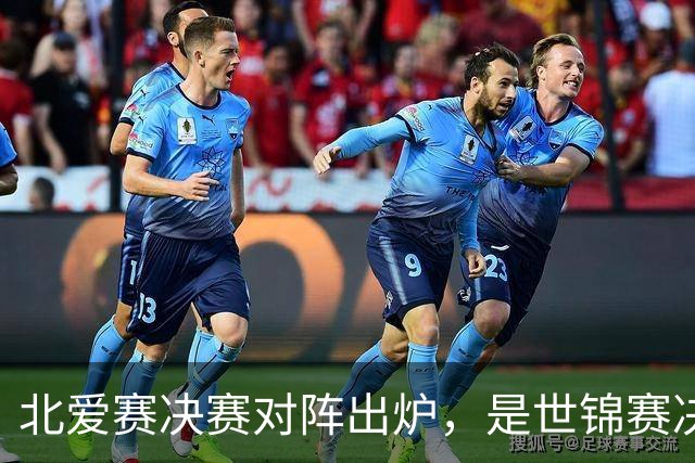 北爱赛决赛对阵出炉，是世锦赛决赛重演，预测冠亚军会颠倒过来