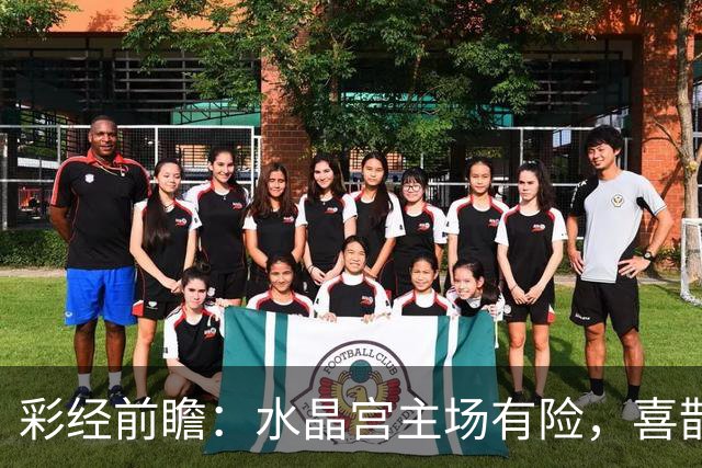 彩经前瞻：水晶宫主场有险，喜鹊展翅看好纽卡斯尔联取胜