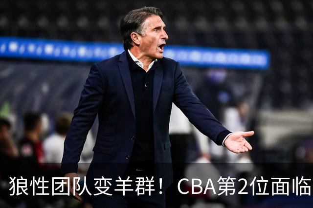 狼性团队变羊群！CBA第2位面临下课主帅曝光，发布会怒喷70%球员不在线，却说自己问心无愧！评论区一边倒