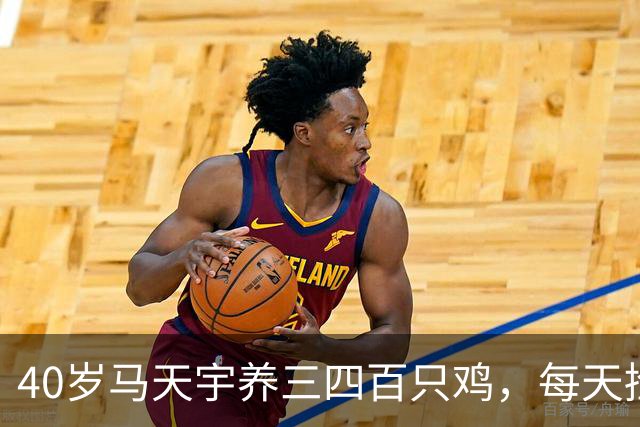 40岁马天宇养三四百只鸡，每天捡100多枚蛋，自曝钱够花便无所谓，是活明白了还是提前认输